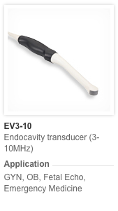 Endocavitaire EV3-10