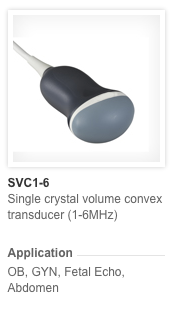 3D 4D SVC1-6