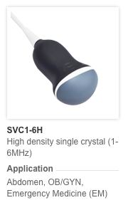3D 4D SVC1-6H